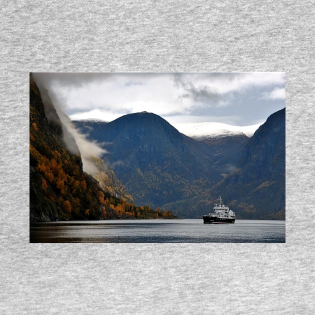 Aurlandsfjord Flam Norwegian Fjord Norway by Andy Evans Photos